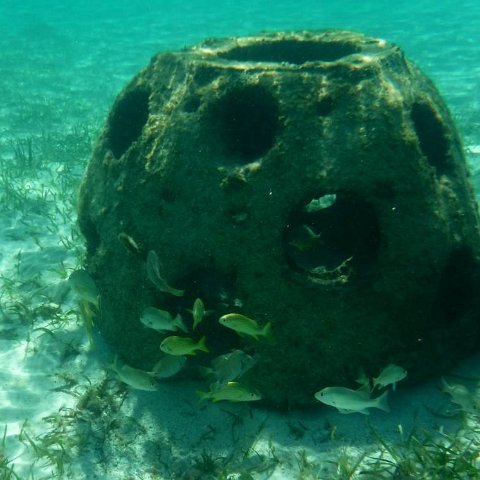 Paradisecove