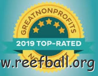 greatnonprofit2019