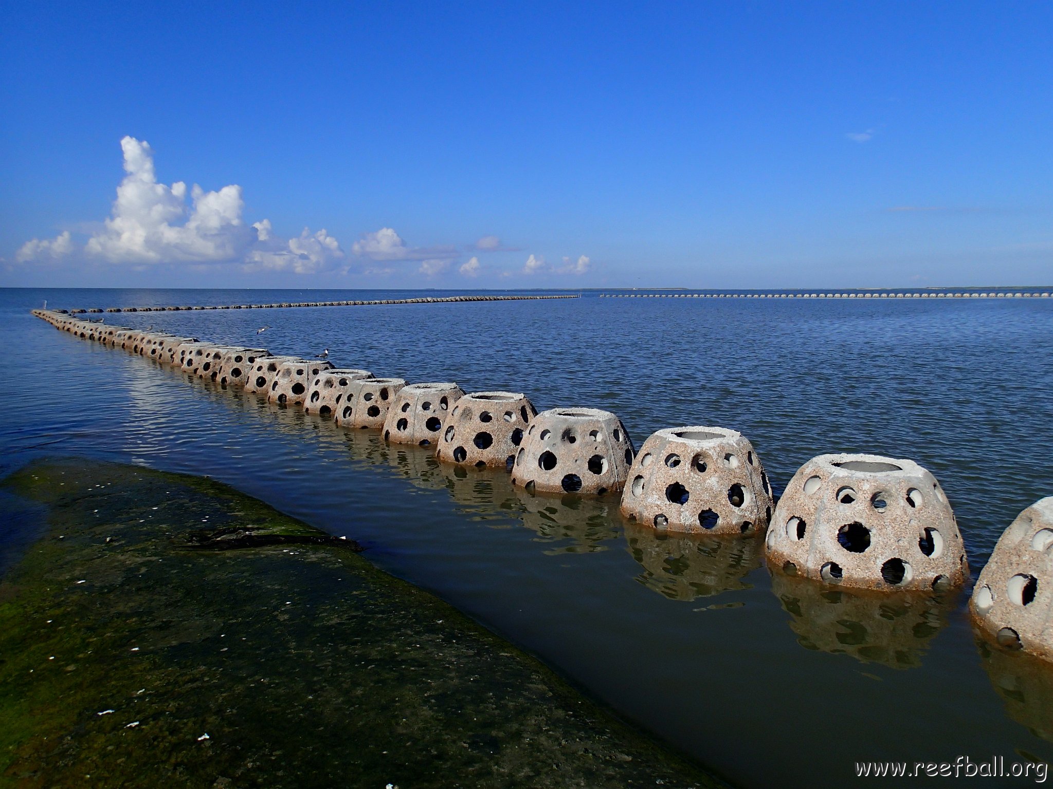 West_Bay_Mooring_BUS_Goliath_Reef_Balls