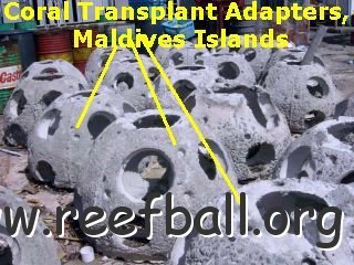 maldiveadapters