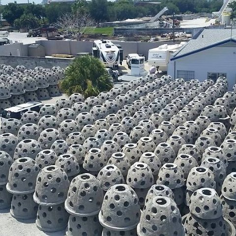 11143390_10205455846088470_7595011737604618826_n 11143390_10205455846088470_7595011737604618826_n