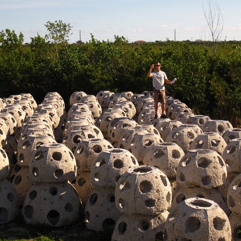 9.-Sea-Of-Reef-Balls-ready-to-be-deployed-at-Paradise-Cove 9.-Sea-Of-Reef-Balls-ready-to-be-deployed-at-Paradise-Cove