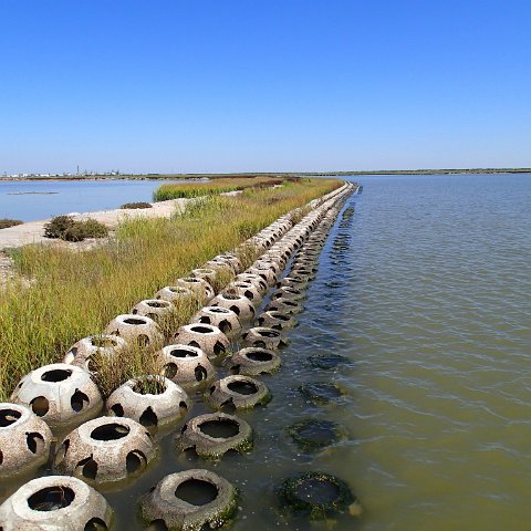 Chocloate_Bayou_BUS_4A_Bay_Reef_Balls Chocloate_Bayou_BUS_4A_Bay_Reef_Balls