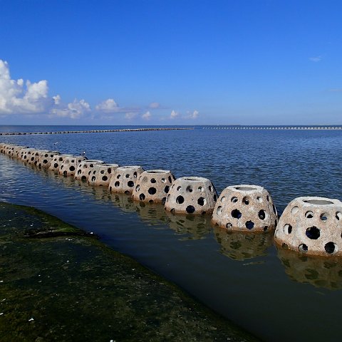West_Bay_Mooring_BUS_Goliath_Reef_Balls West_Bay_Mooring_BUS_Goliath_Reef_Balls
