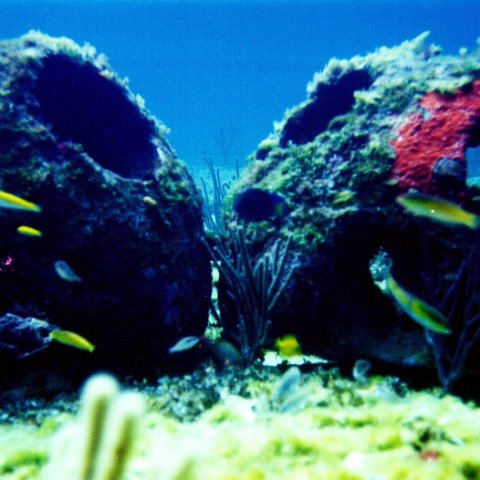 cancunuw10 cancunuw10