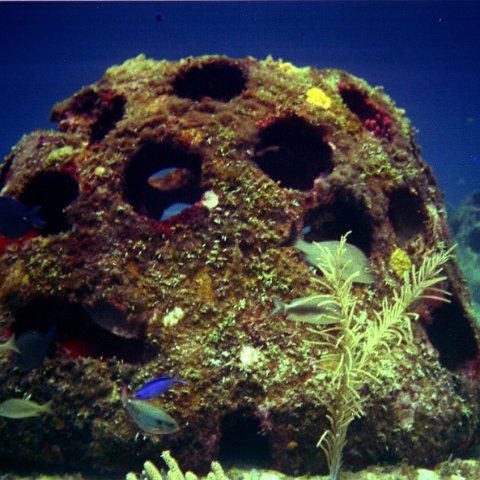 cancunuw23 cancunuw23