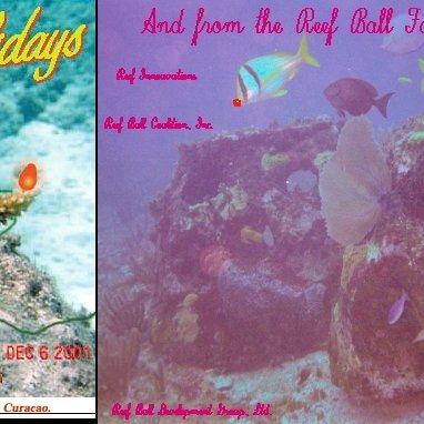 happyholidayfromreefball happyholidayfromreefball