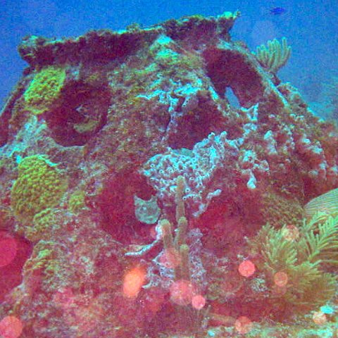 img00026 img00026