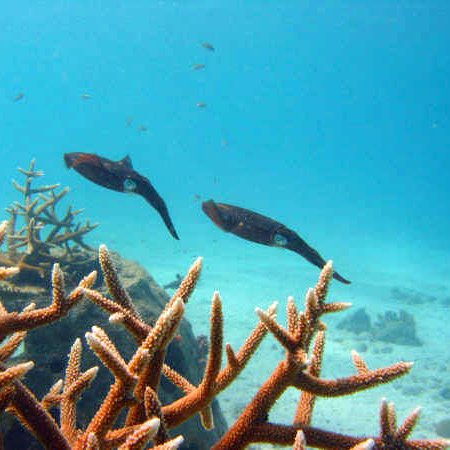 img_3854 img_3854