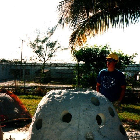 reefballlook reefballlook