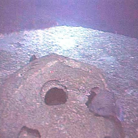 speckled_hind_reefball_600feetdeep speckled_hind_reefball_600feetdeep