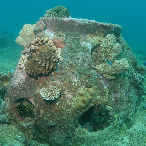 underwater4 underwater4