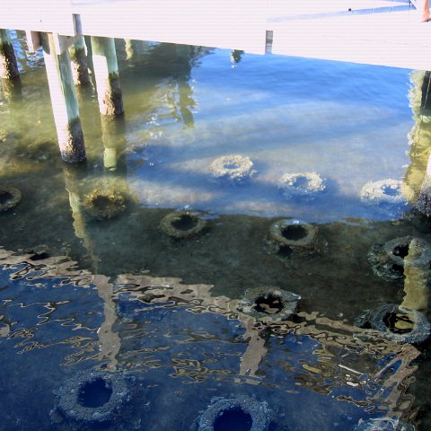 IMG_9570 IMG_9570