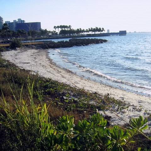 IMG_9615 IMG_9615