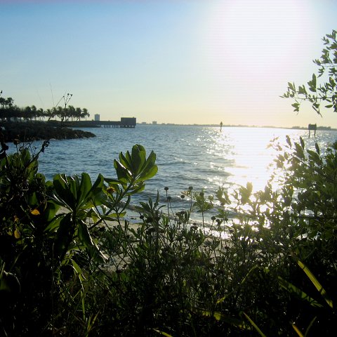 IMG_9616 IMG_9616