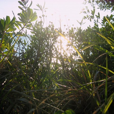 IMG_9617 IMG_9617