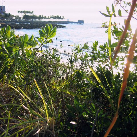 IMG_9618 IMG_9618