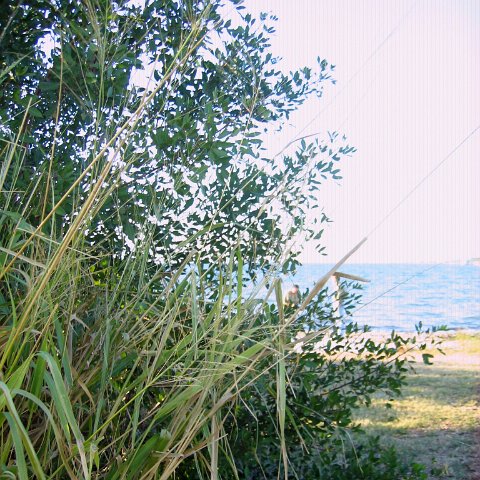 IMG_9619 IMG_9619