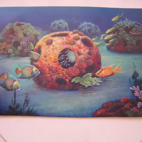 REEFBALLMEXICOARTWORK 002