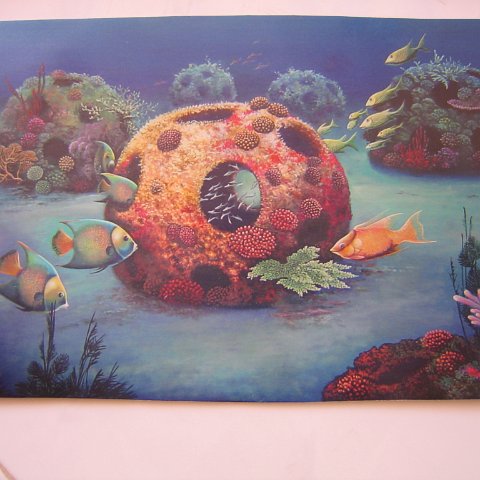 REEFBALLMEXICOARTWORK 003