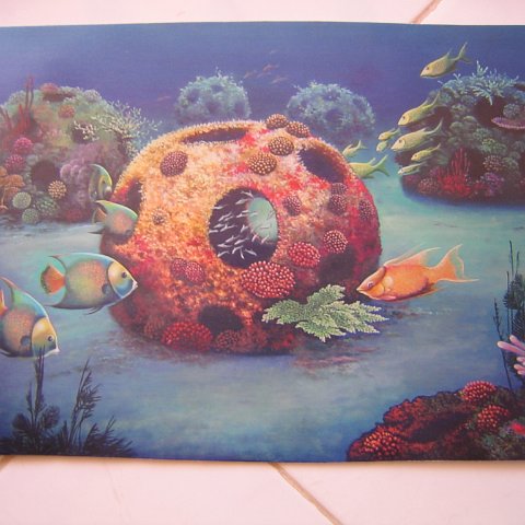 REEFBALLMEXICOARTWORK 004