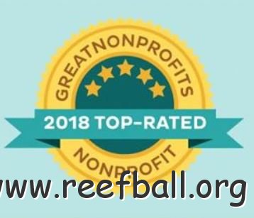 greatnonprofit2018