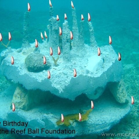birthday birthday