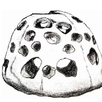 image3 image3