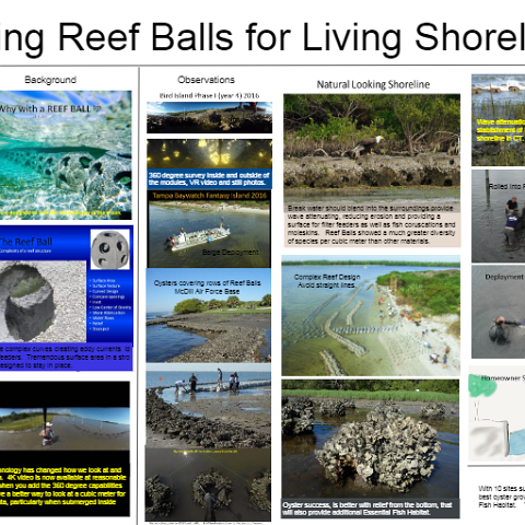 livingshorelines livingshorelines