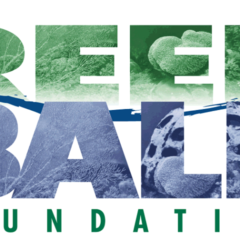 reef ball finalfloat reef ball finalfloat