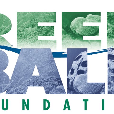 reef ballhiresofficiallogo reef ballhiresofficiallogo