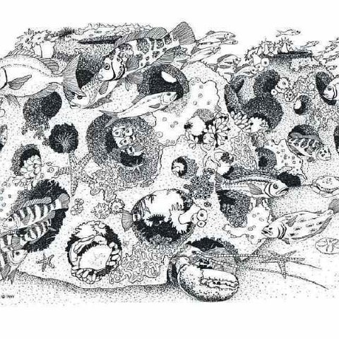 reef_ball reef_ball