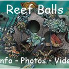 reef_ball_logomartincounty reef_ball_logomartincounty