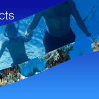 reefball_family_snorkelling_shot reefball_family_snorkelling_shot
