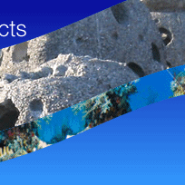 reefball_reef_balls_shot reefball_reef_balls_shot