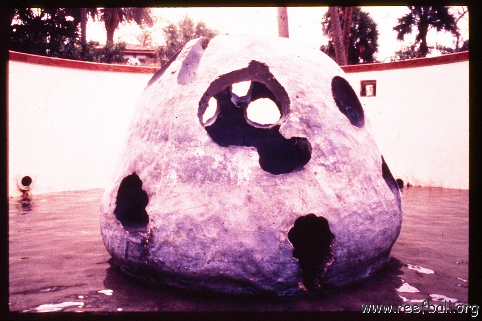 PA13781070520