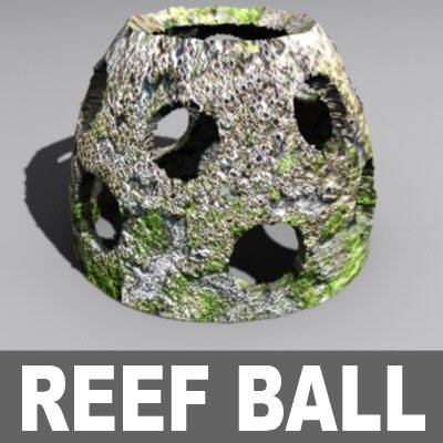 Turbo Squide 3-d Reef Ball Model