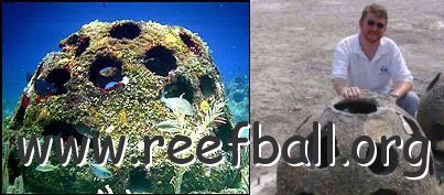 eternalreef.jpg