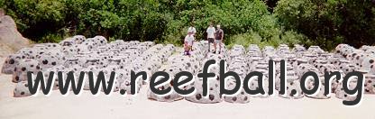 millions11.jpg - Reef Innovations, Sarasota