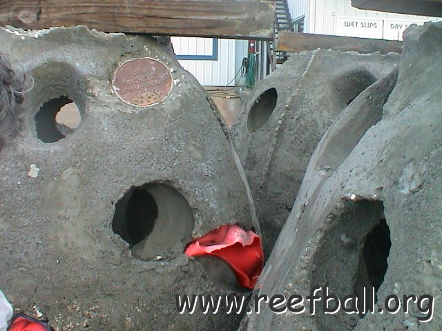 dsc00286.jpg