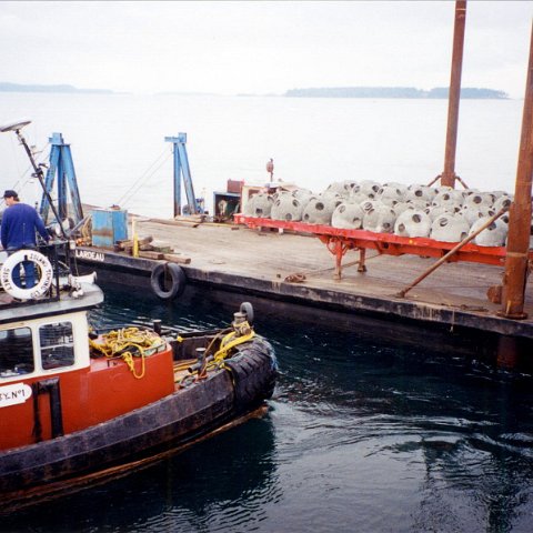2003 2003