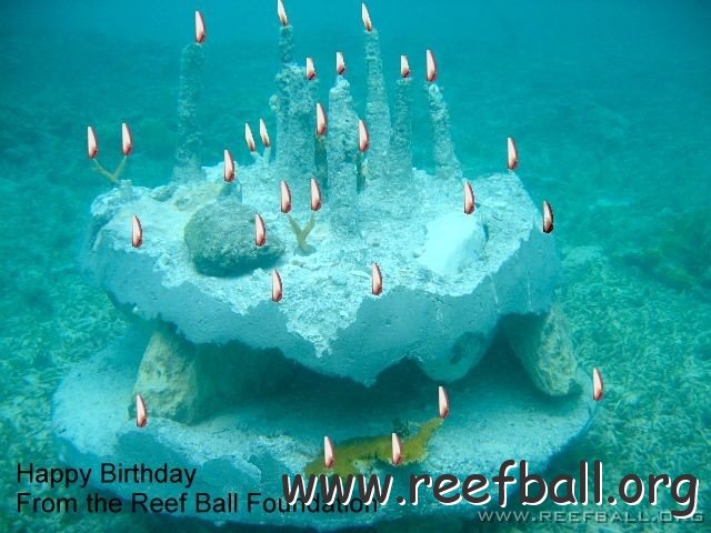 birthday | Customize this to send a special Reef Ball birthday wish to ...