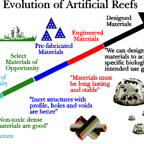 evolutionofartificialreefs