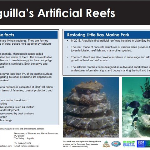 Anguilla Anguilla