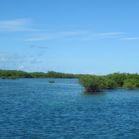 IMG_0683 IMG_0683