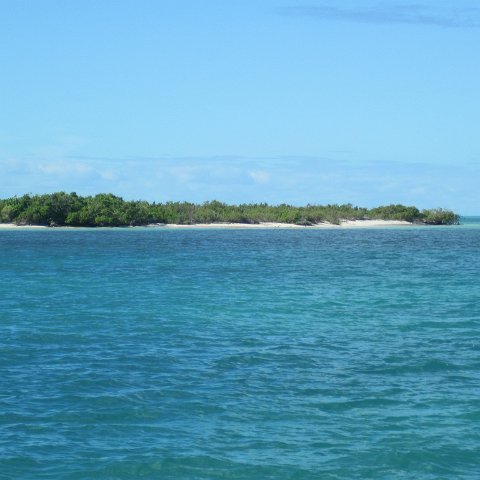 IMG_0685 IMG_0685