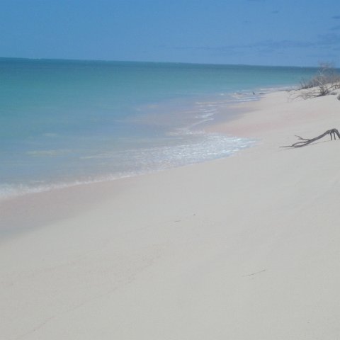 IMG_0755 IMG_0755