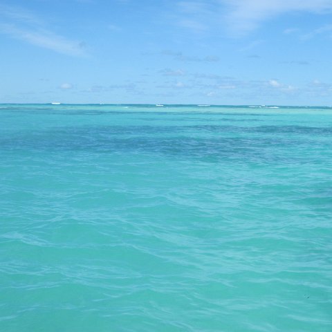 IMG_0763 IMG_0763
