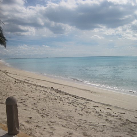 IMG_0792 IMG_0792