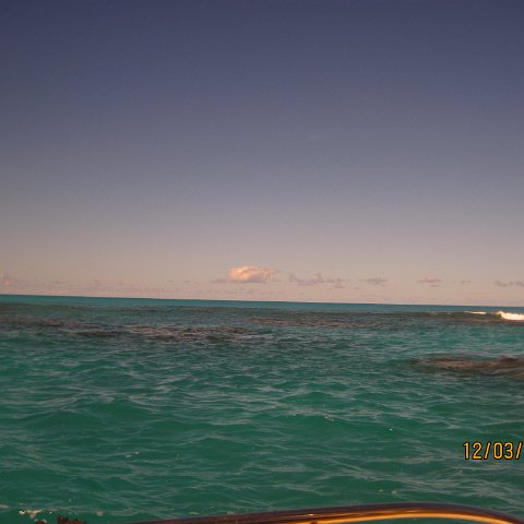 IMG_0962 IMG_0962